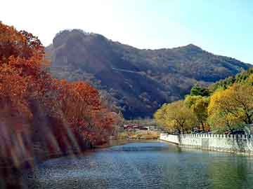 圈养黑客大神